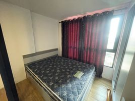 1 Schlafzimmer Wohnung zu vermieten im Kensington Laemchabang-Sriracha, Thung Sukhla, Si Racha, Chon Buri