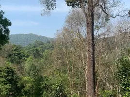  Land for sale in Chiang Mai, Huai Sai, Mae Rim, Chiang Mai