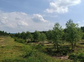  Land for sale in Si Maha Phot, Prachin Buri, Krok Sombun, Si Maha Phot