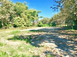  Land for sale in Chiang Mai, San Pong, Mae Rim, Chiang Mai