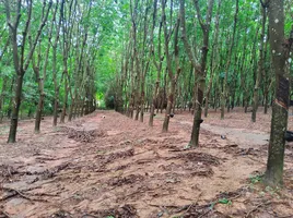  Land for sale in Phu Phiang, Nan, Nam Kaen, Phu Phiang