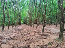 在难出售的 土地, Nam Kaen, Phu Phiang, 难