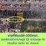 ขายที่ดิน ใน ลำลูกกา ปทุมธานี, ลาดสวาย, ลำลูกกา