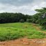  Land for sale in Mae Khao Tom, Mueang Chiang Rai, Mae Khao Tom