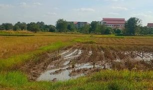 N/A Land for sale in Nai Mueang, Chaiyaphum 