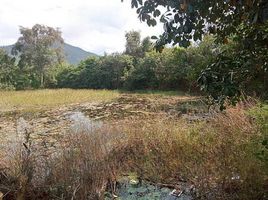  Land for sale in Chiang Khan, Loei, Pak Tom, Chiang Khan