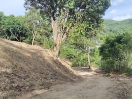  Land for sale in Choeng Thale, Thalang, Choeng Thale