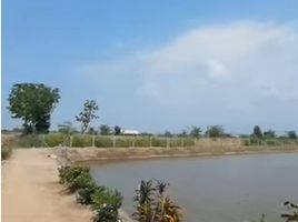  Land for sale in Huai Muang, Kamphaeng Saen, Huai Muang