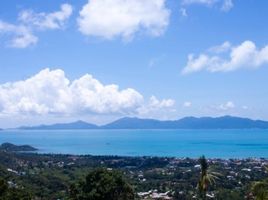  Grundstück zu verkaufen in Koh Samui, Surat Thani, Bo Phut