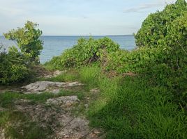  Grundstück zu verkaufen in Sumba Barat, East Nusa Tenggara, Sumba Barat