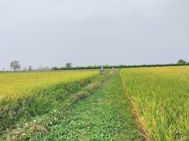  Grundstück zu verkaufen in Khanu Woralaksaburi, Kamphaeng Phet, Pa Phutsa, Khanu Woralaksaburi