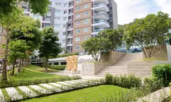 Photos 3 of the Communal Garden Area at The 88 Condo Hua Hin