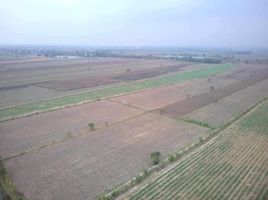  Land for sale in Nakhon Ratchasima, Tha Luang, Phimai, Nakhon Ratchasima