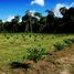  Land for sale in Presidente Figueiredo, Amazonas, Presidente Figueiredo