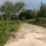  Land for sale in Yu Wa, San Pa Tong, Yu Wa