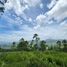 Land for sale in Valle De Angeles Francisco Morazan, Valle De Angeles, Francisco Morazan