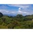  Land for sale in Puntarenas, Golfito, Puntarenas