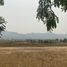  Land for sale in Pa Daet, Chiang Rai, Rong Chang, Pa Daet