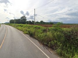  Grundstück zu verkaufen in Sikhio, Nakhon Ratchasima, Lat Bua Khao