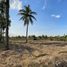  Land for sale in Khao Krapuk, Tha Yang, Khao Krapuk