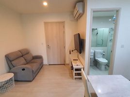 1 Schlafzimmer Wohnung zu vermieten im Life Asoke, Bang Kapi