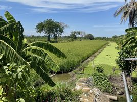  Grundstück zu verkaufen in Bang Bua Thong, Nonthaburi, Bang Khu Rat