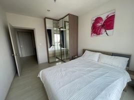 1 Schlafzimmer Appartement zu vermieten im Life Sukhumvit 48, Phra Khanong