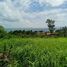  Land for sale in Nong Thale, Mueang Krabi, Nong Thale