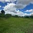 ขายที่ดิน ใน จันทึก, นครราชสีมา, จันทึก, ปากช่อง