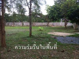 Land for sale in Mueang Chiang Rai, Chiang Rai, Rop Wiang, Mueang Chiang Rai