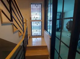 3 Bedroom Townhouse for rent at Plex Bangna, Bang Kaeo