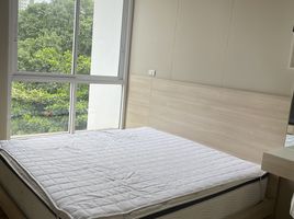 2 Schlafzimmer Wohnung zu vermieten im Quartz Residence, Khlong Toei, Khlong Toei, Bangkok, Thailand
