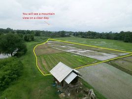  Land for sale in Doi Saket, Chiang Mai, Luang Nuea, Doi Saket