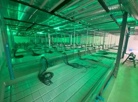  Retail space for rent in Lak Hok, Pathum Thani, Lak Hok, Mueang Pathum Thani, Pathum Thani