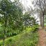  Land for sale in Sakhu, Thalang, Sakhu