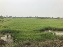  Land for sale in Phitsanulok, Khui Muang, Bang Rakam, Phitsanulok