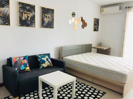 Studio Apartment for rent at Supalai Premier Asoke, Bang Kapi