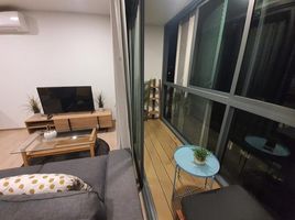 1 Schlafzimmer Appartement zu verkaufen im Taka Haus, Khlong Tan Nuea