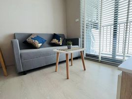 1 Bedroom Apartment for rent at Nue Noble Srinakarin - Lasalle, Samrong Nuea