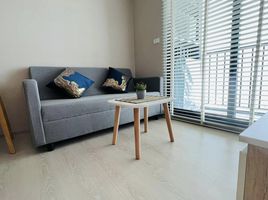 1 Schlafzimmer Appartement zu vermieten im Nue Noble Srinakarin - Lasalle, Samrong Nuea, Mueang Samut Prakan, Samut Prakan