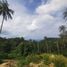 3 Bedroom Villa for sale at Anara & Lumara Villas, Koh Phangan, Koh Phangan