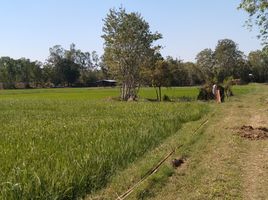  Land for sale in Kantharawichai, Maha Sarakham, Khwao Yai, Kantharawichai