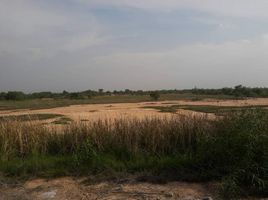 Land for sale in Nakhon Ratchasima, Sa Chorakhe, Dan Khun Thot, Nakhon Ratchasima