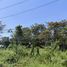  Land for sale in Prachin Buri, Nong Phrong, Si Maha Phot, Prachin Buri