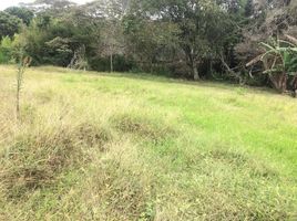  Land for sale in Santo Domingo, Heredia, Santo Domingo