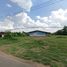  Grundstück zu verkaufen in Trakan Phuet Phon, Ubon Ratchathani, Khulu
