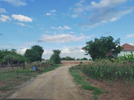  Land for sale in Thewarat, Chaiyo, Thewarat