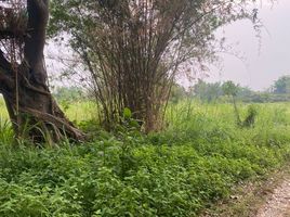  Land for sale in Ban Thi, Lamphun, Huai Yap, Ban Thi