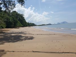  Land for sale in Trang, Khao Mai Kaeo, Sikao, Trang