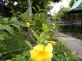 35 Schlafzimmer Hotel / Resort zu verkaufen in Pattaya, Chon Buri, Bang Lamung